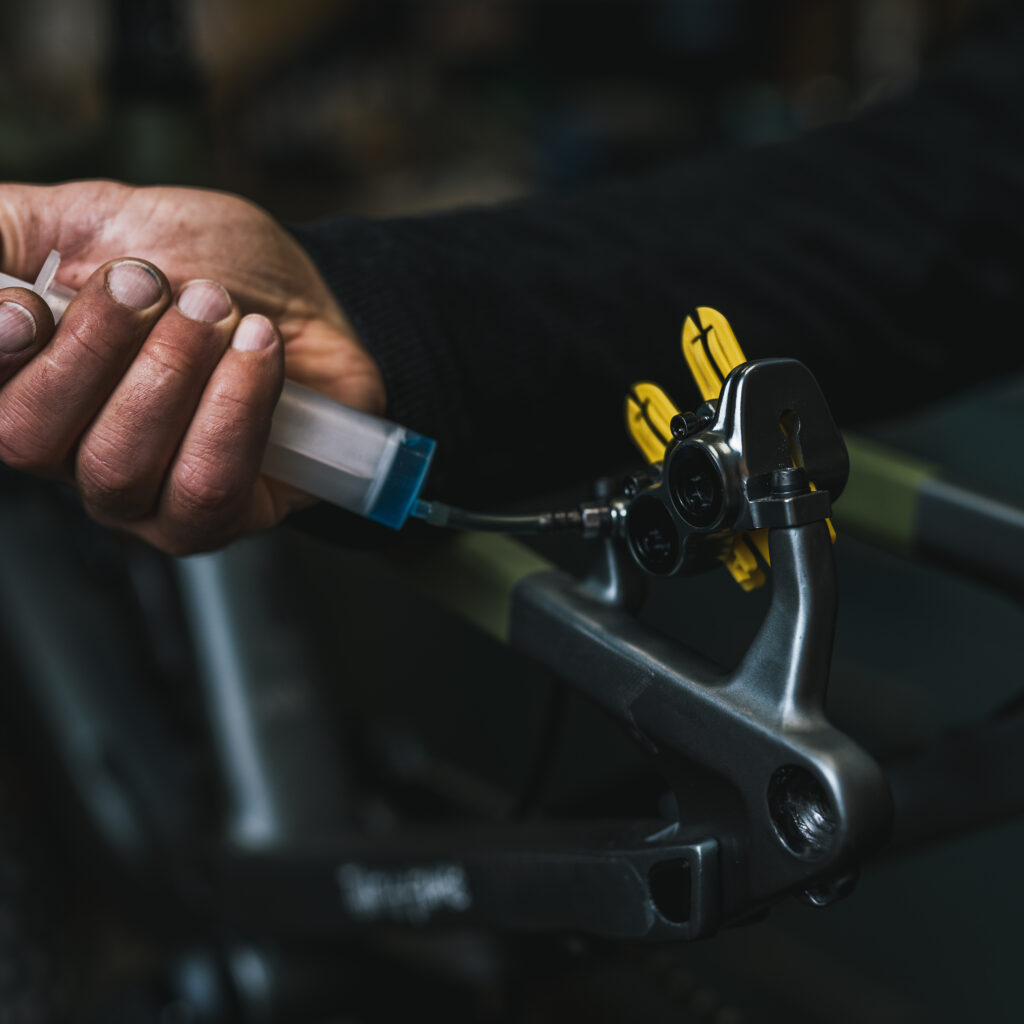 1736024403361-977791824