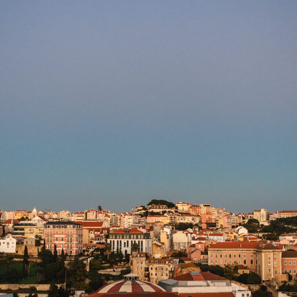 1736024559009-298020106