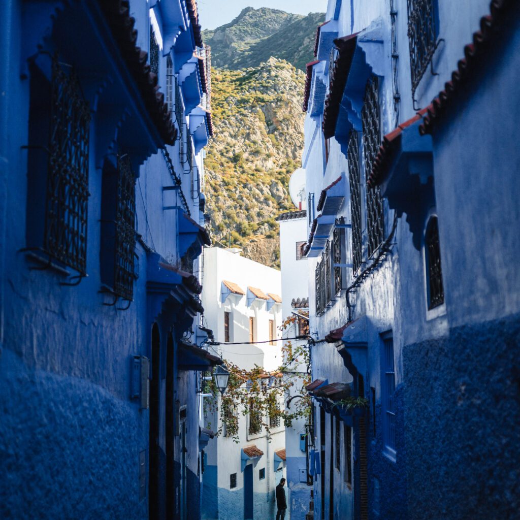 1736024569438-425358970