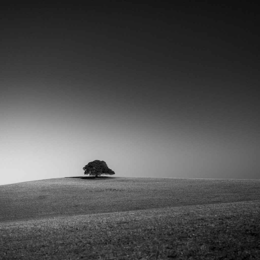 1736024570776-82320020