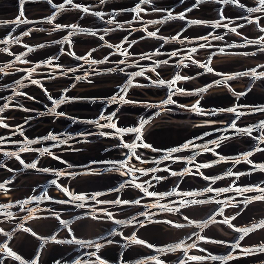 1736024571463-333862206