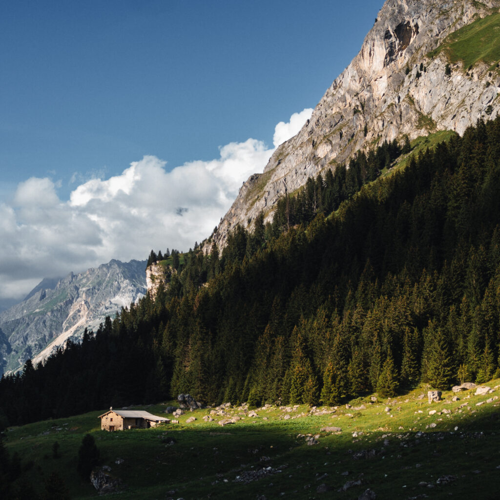 1736024864032-244728597