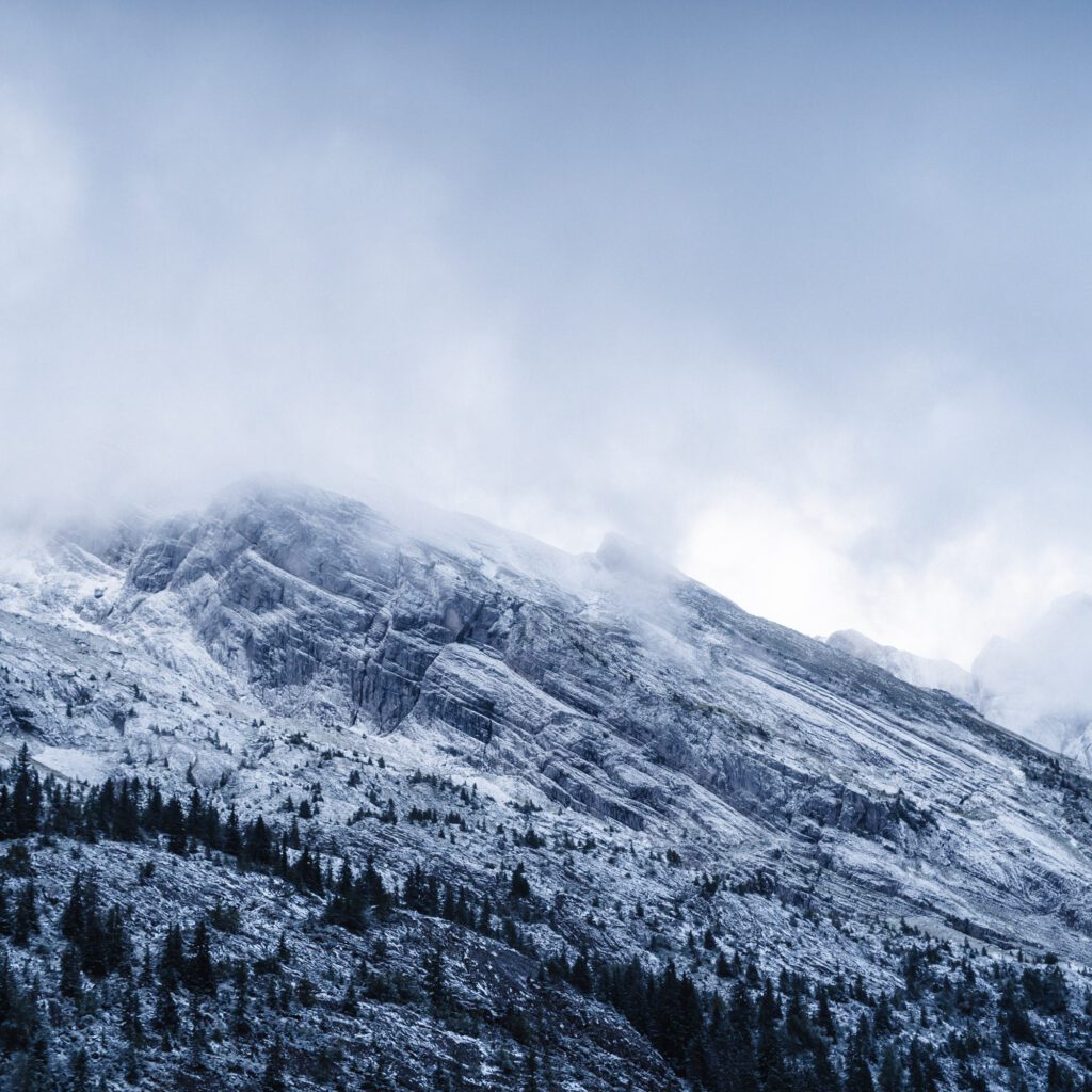 1736024870035-977545703