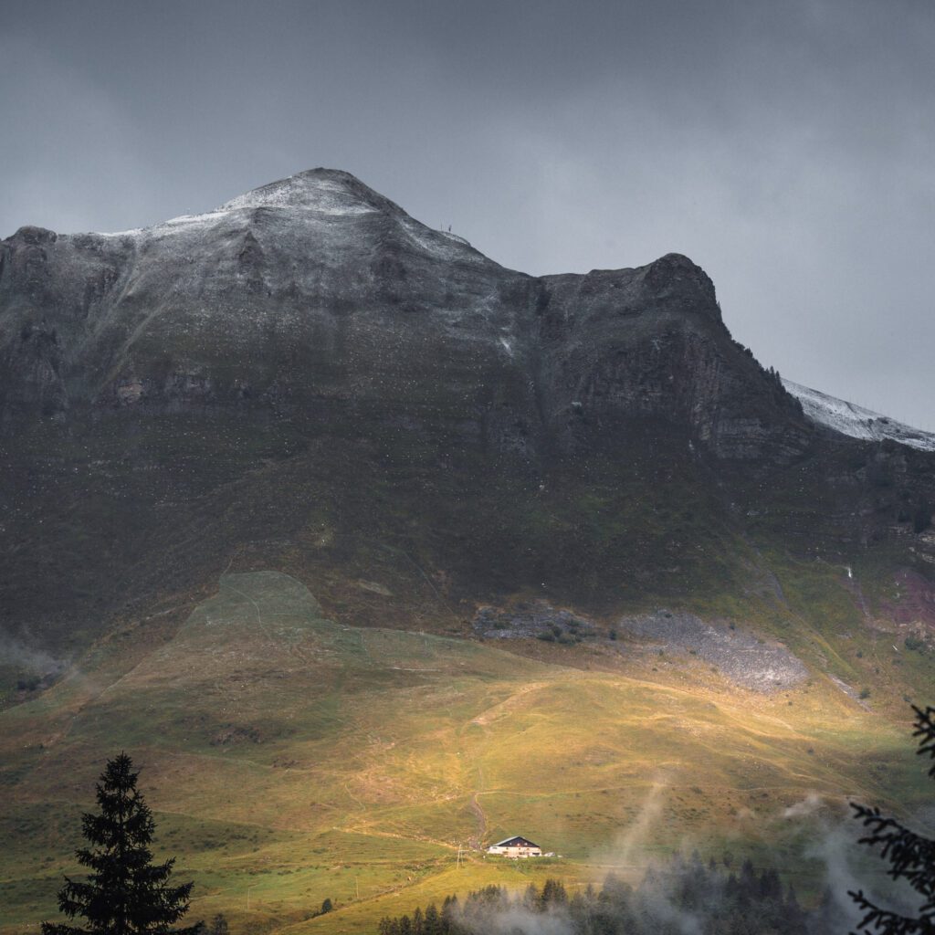 1736024871480-407925805