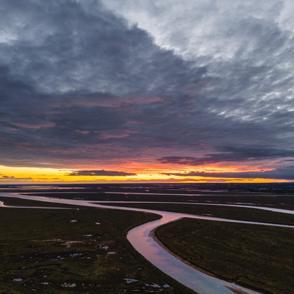 1736024877984-3889422