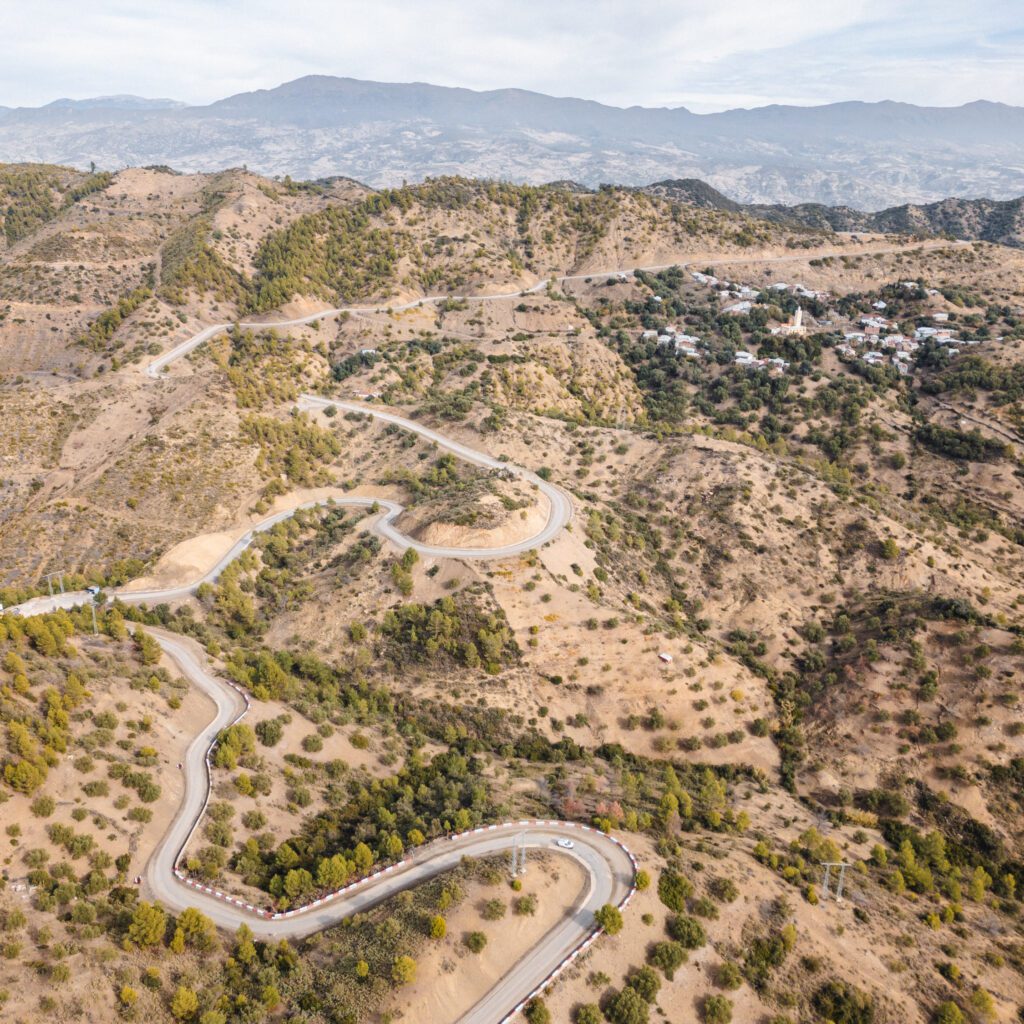 1736024879443-73947523