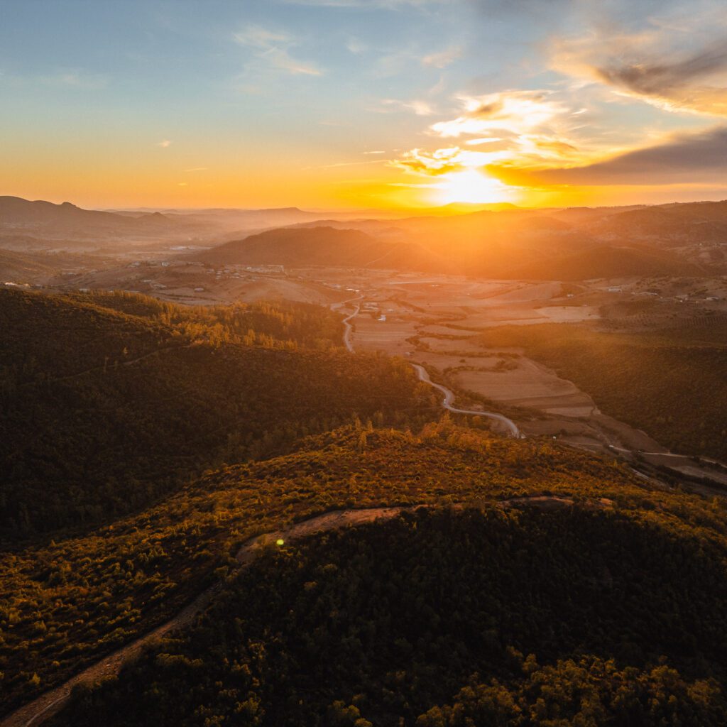 1736024881753-816627593