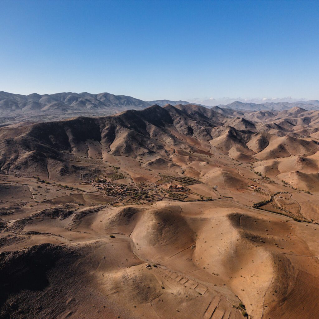 1736024884445-429603979