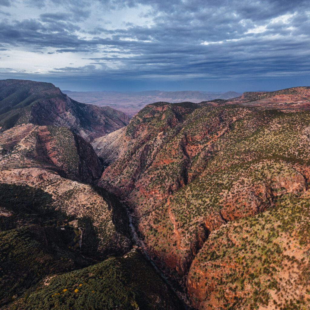 1736024886171-458569763