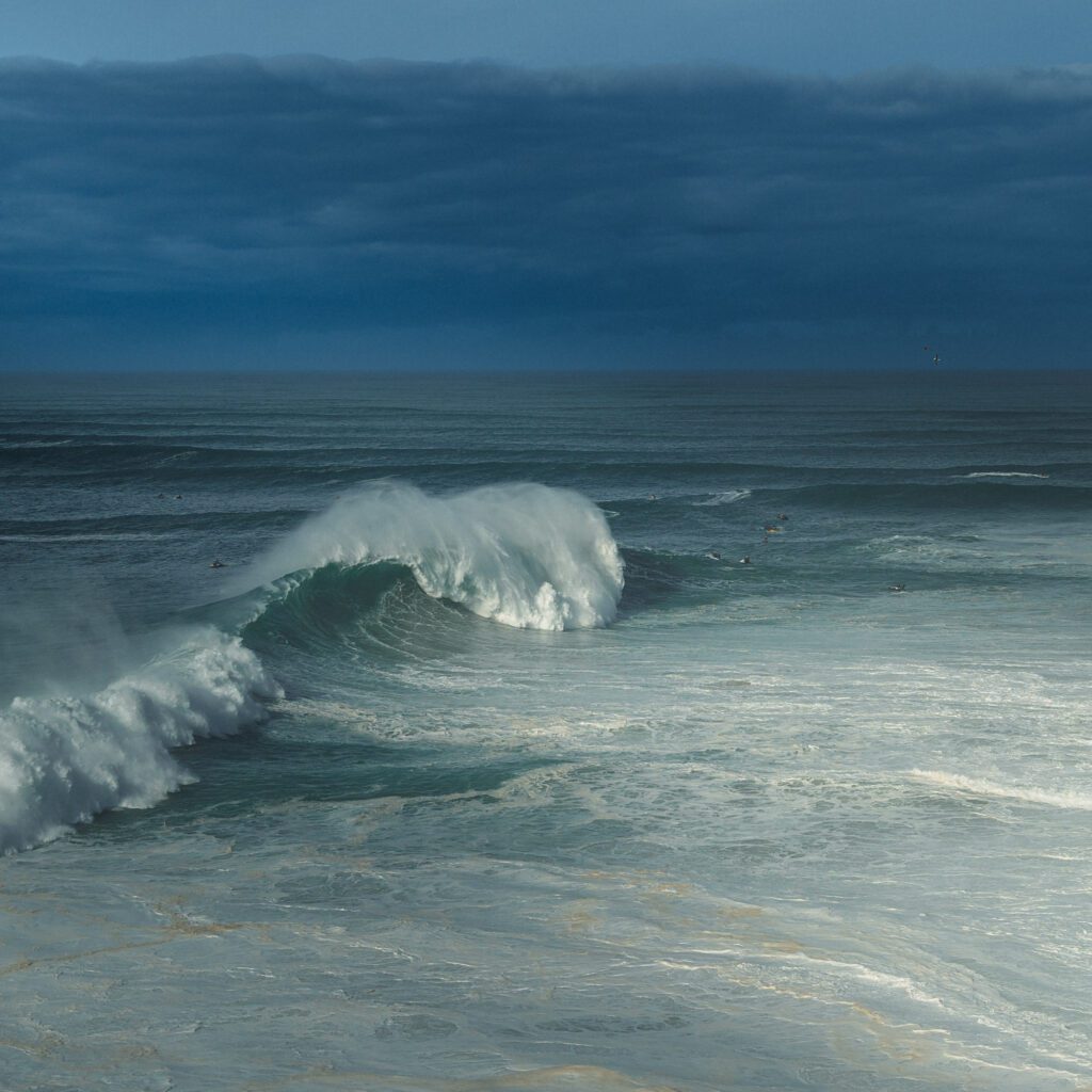 1736024896229-373367848