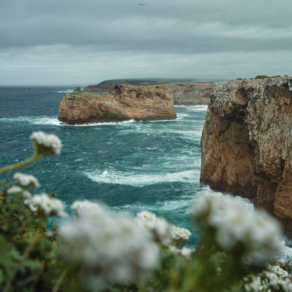 1736024897234-862787788