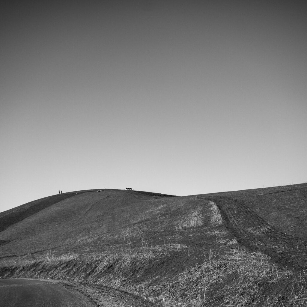 1736024898308-578247916