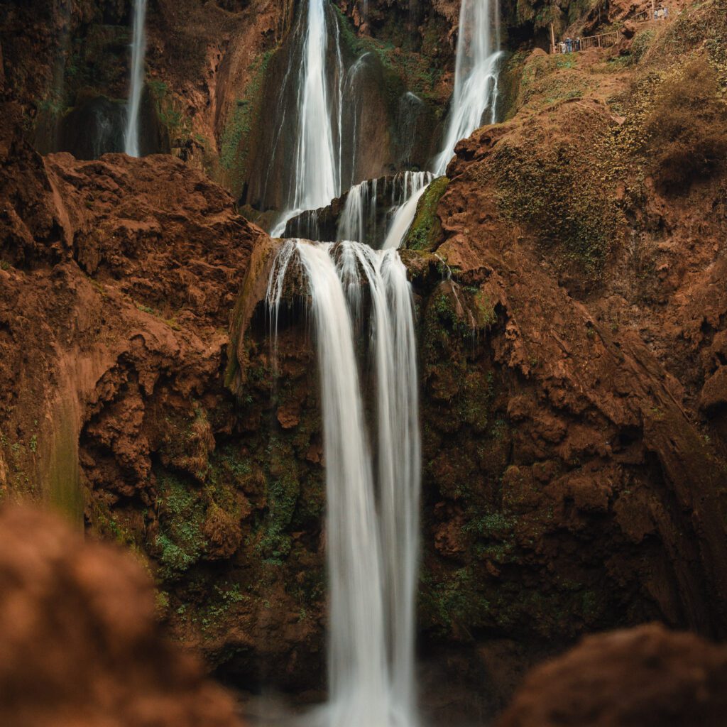 1736024899554-278077040