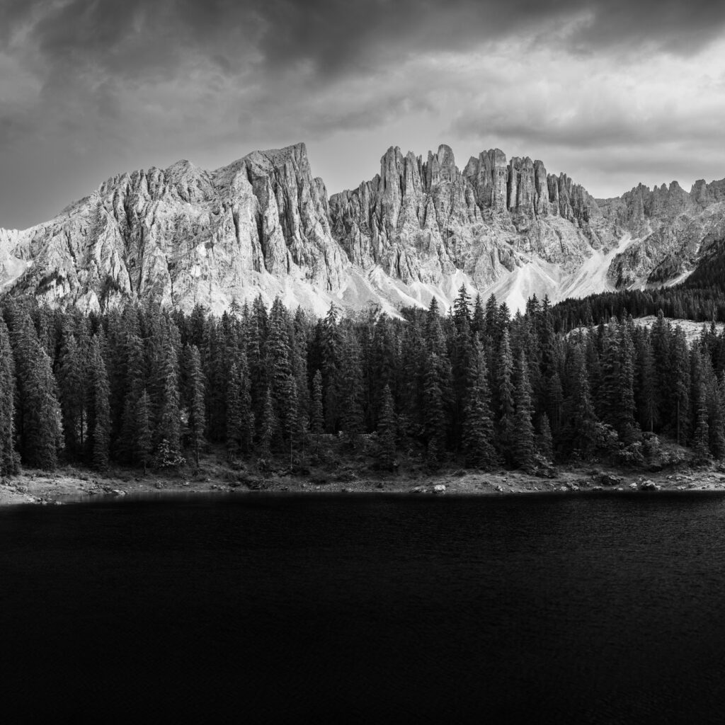 1736024901115-11392252