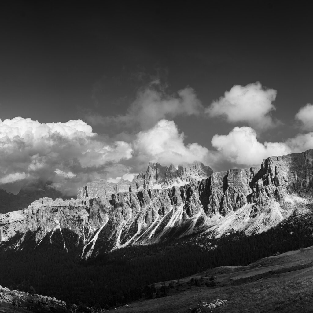 1736024903682-765409065