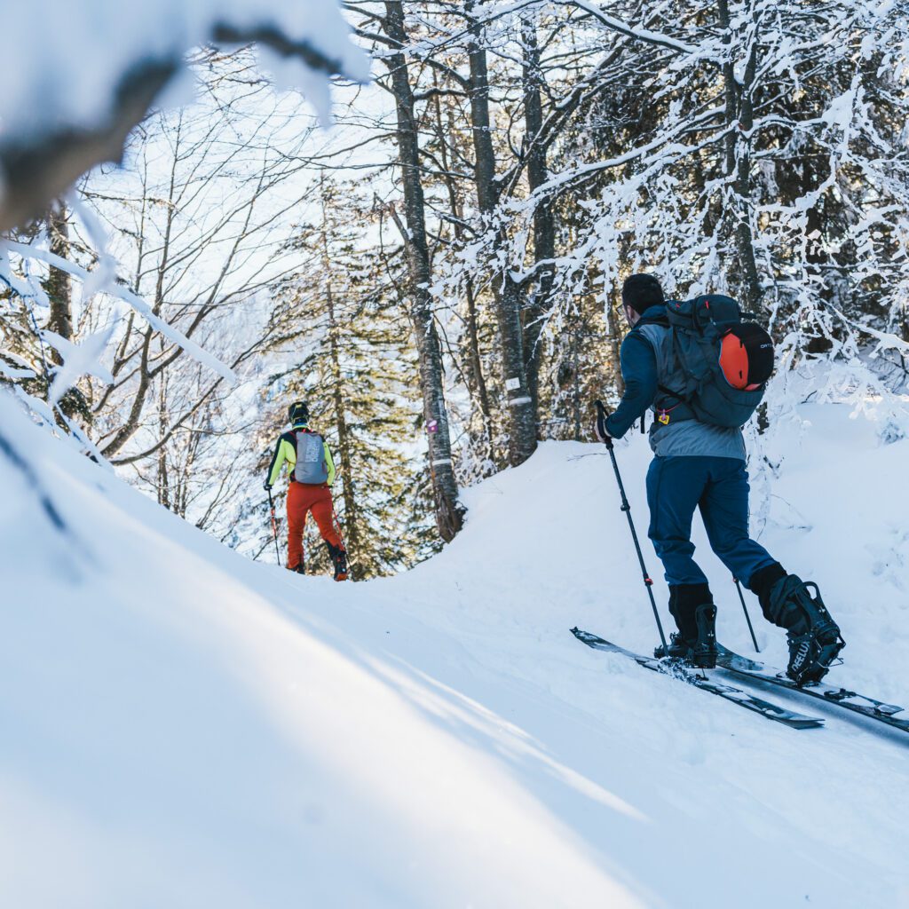 1736024999132-676731328