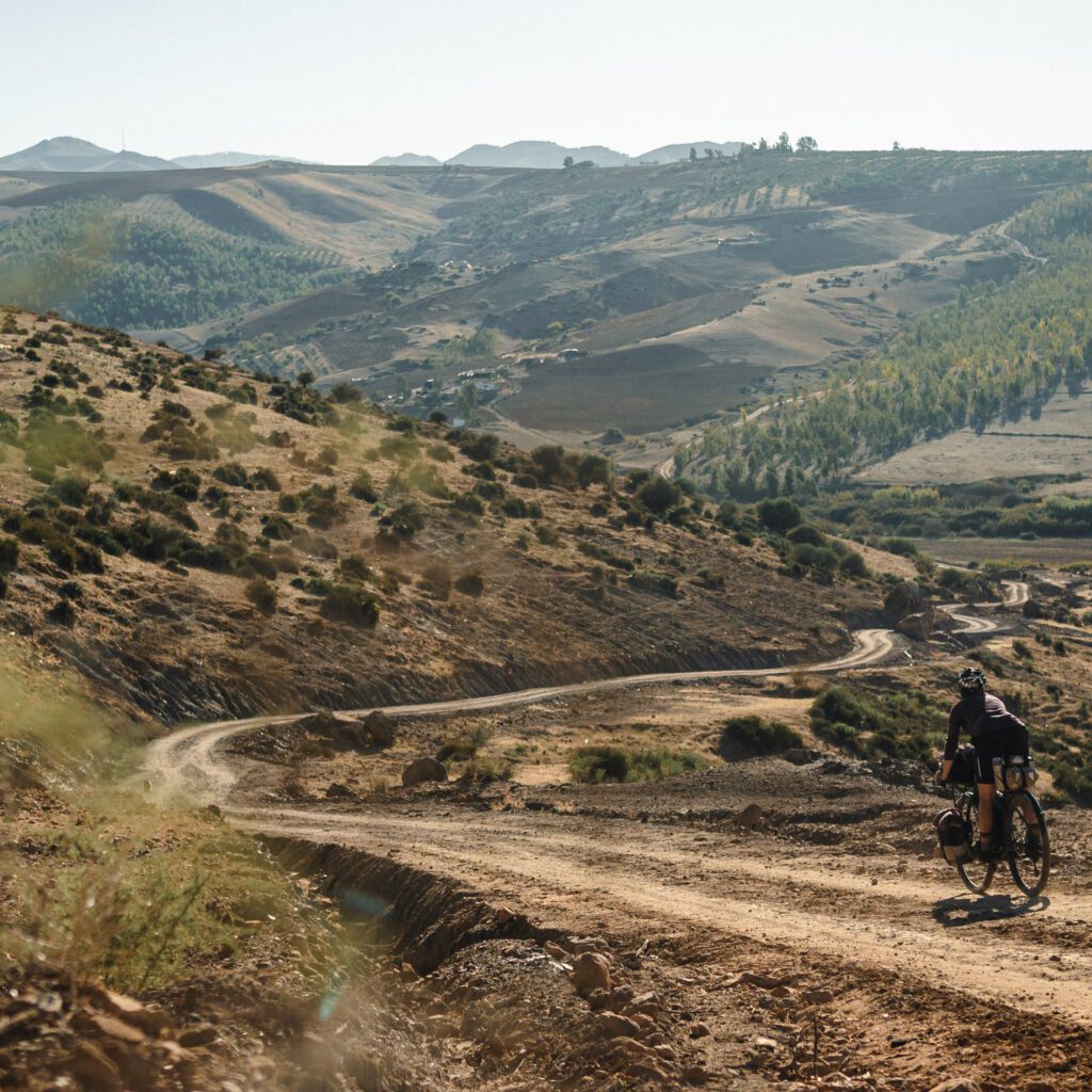 1736025184255-328234388