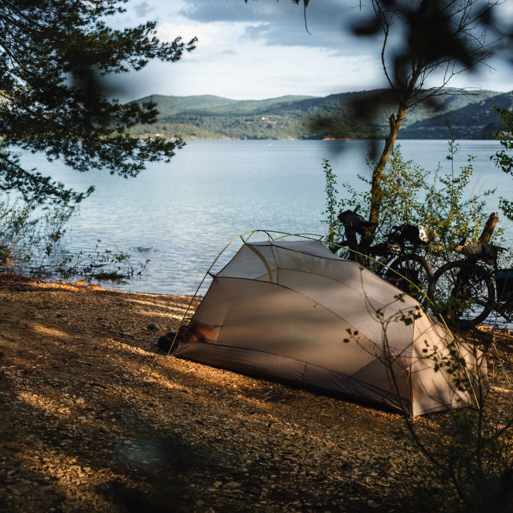 1736025195183-188144050