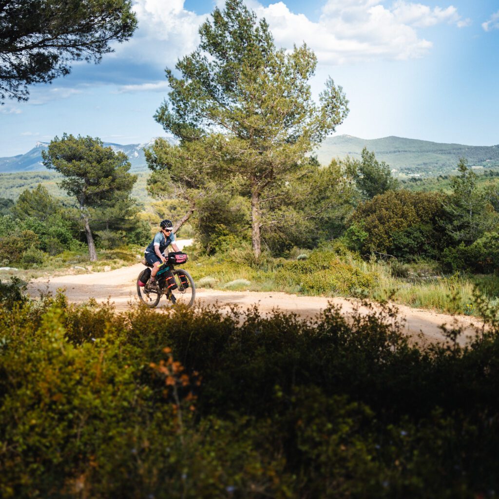 1736025200933-861461647