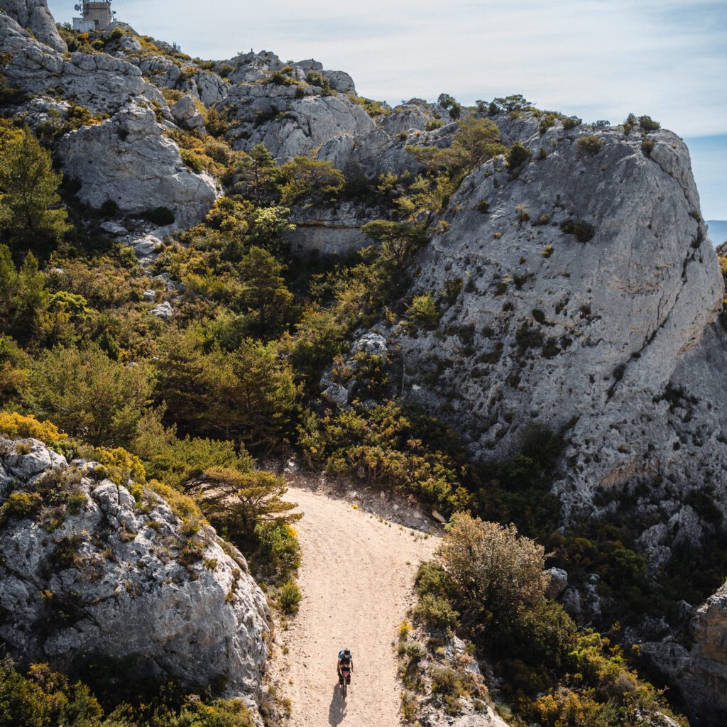 1736025203411-680261083