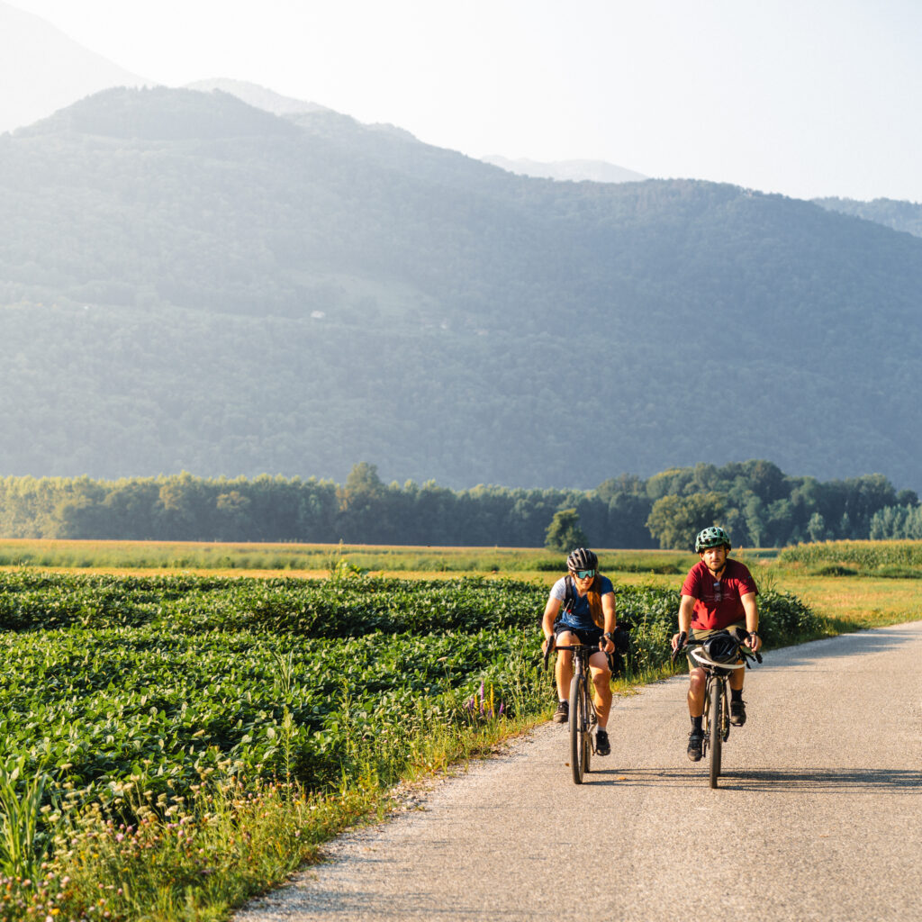 1736025206781-38014946