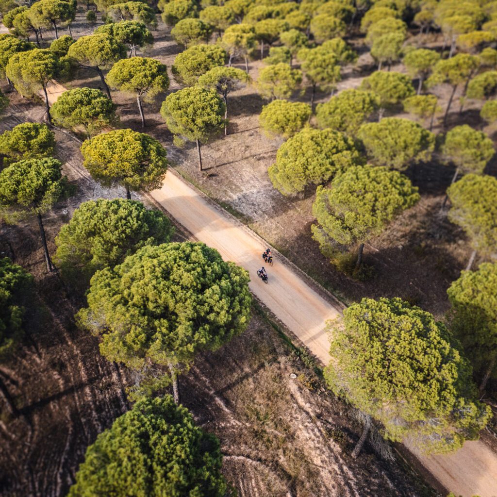 1736025264682-641966319