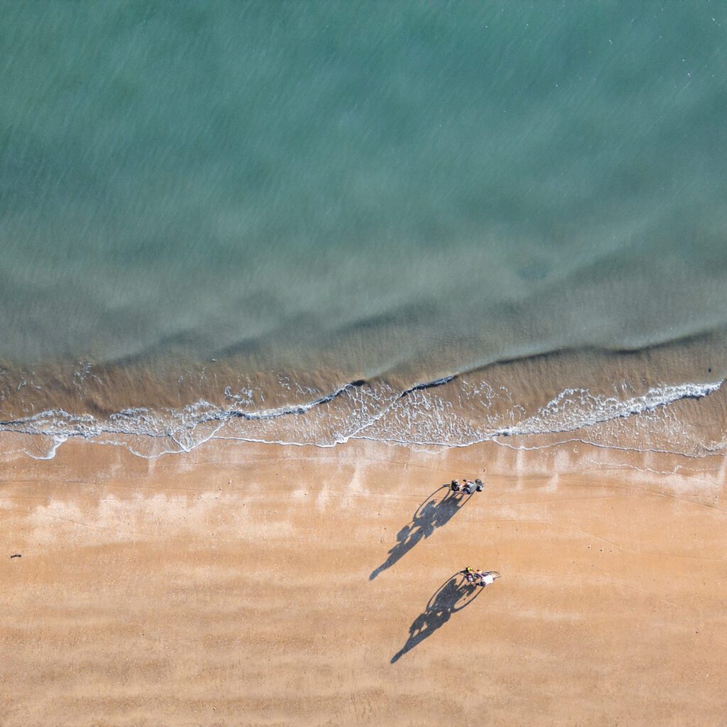 1736025266758-871710226