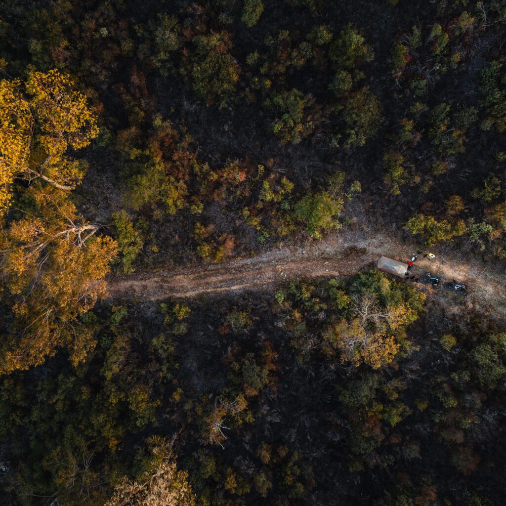 1736025268325-50783332