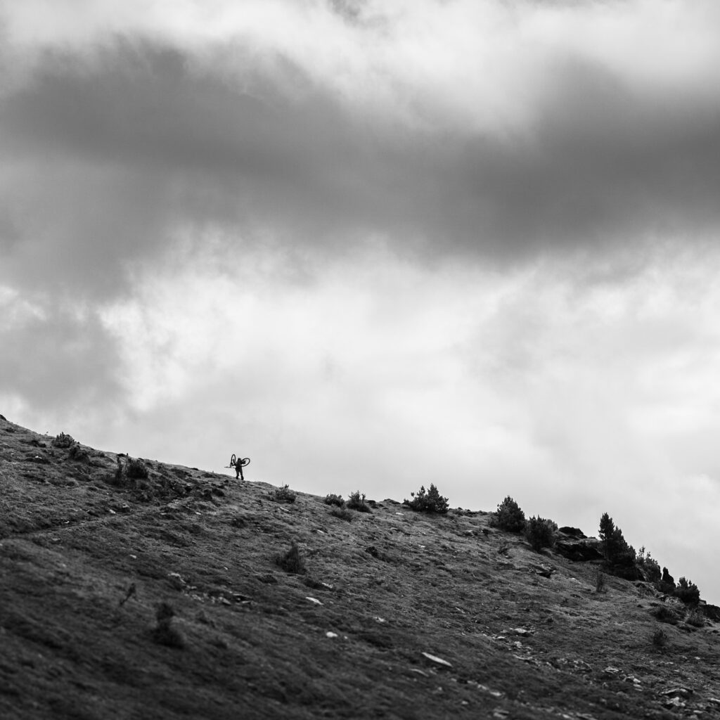 1736027045642-96356406