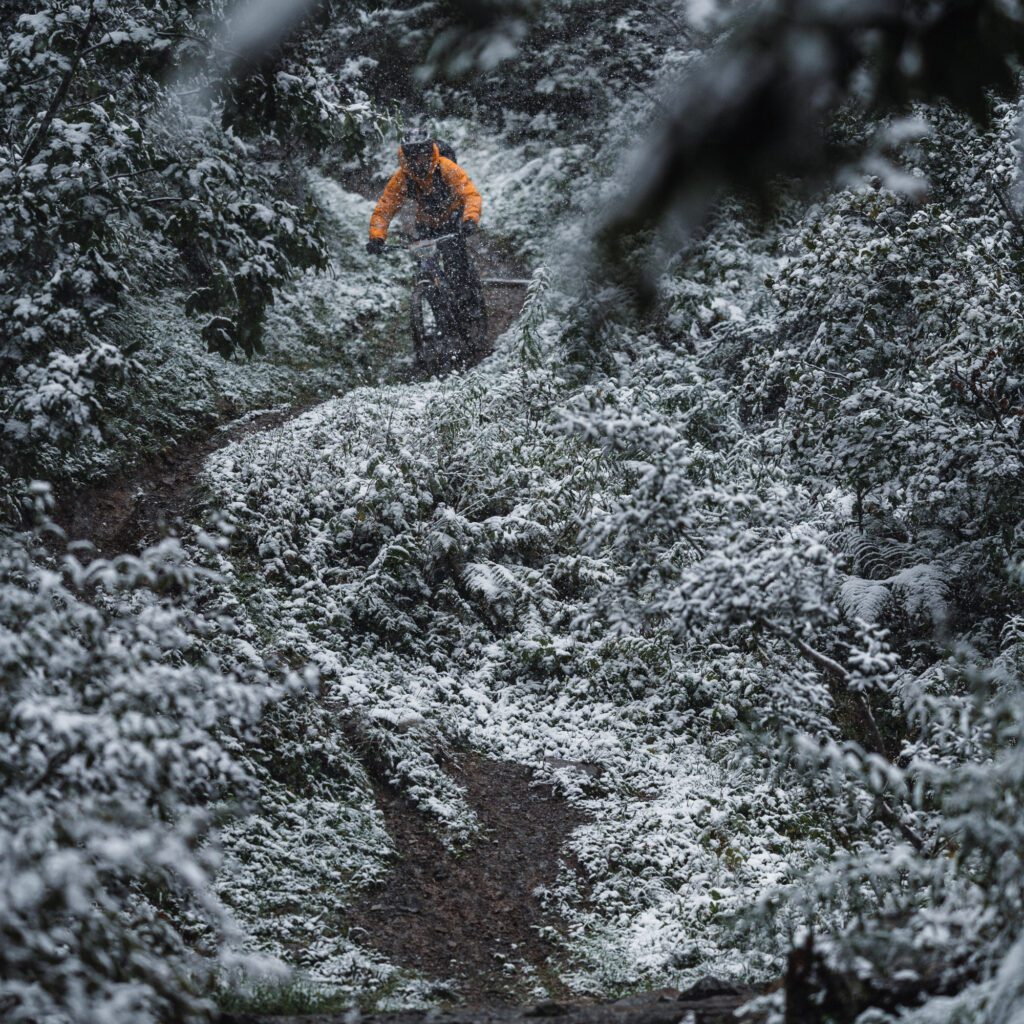 1736027108276-314726629