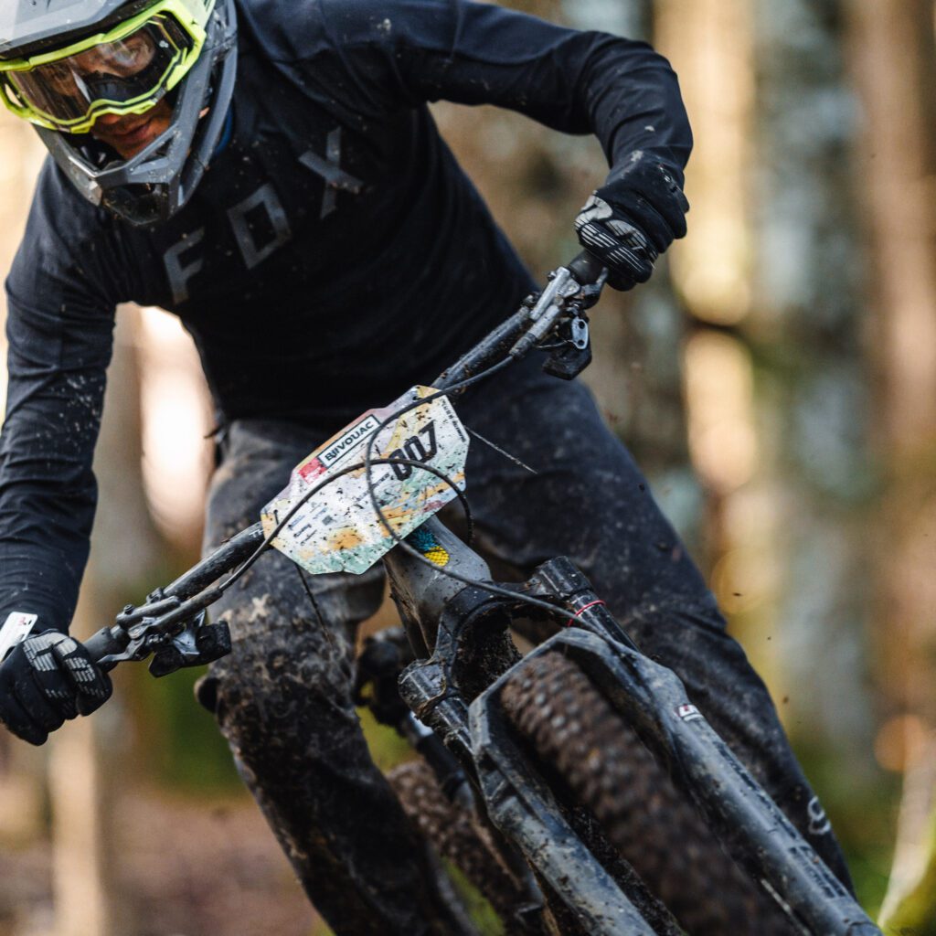 1736027123186-368913801