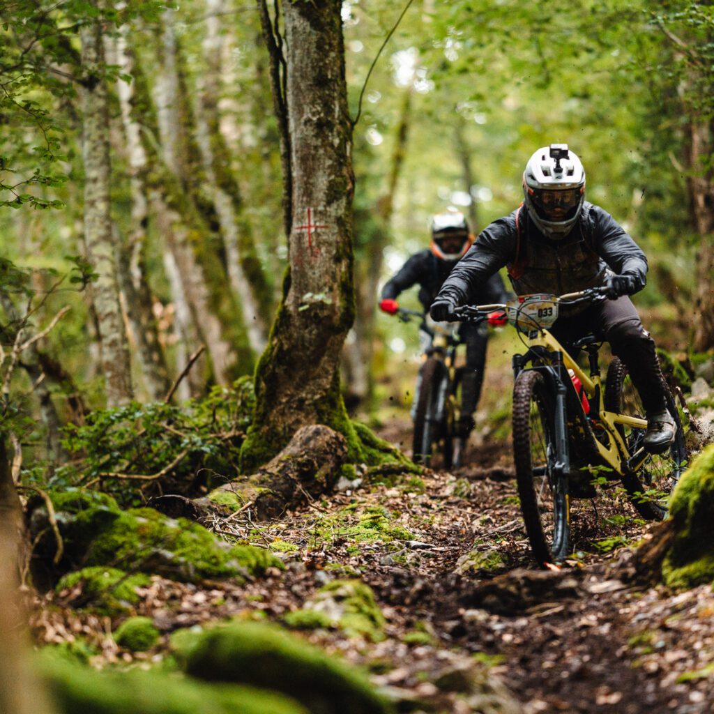 1736027126667-381710579